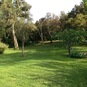 Les Du Merle , Cogolin France