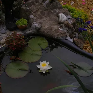 Au Jardin D'eden Séjour chez l'habitant